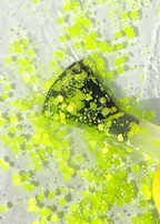 DNKa | Topcoat Sorbet