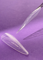 DNKa | Upperforms Almond 120pcs