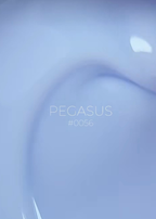 DNKa | Liquid Acrygel #0056 Pegasus
