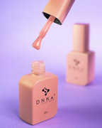 DNKa | Coverbase 12ml #0031 Business